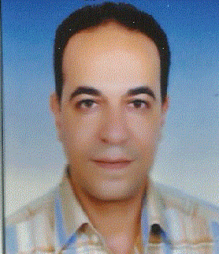 ayman Ismail Mohamed